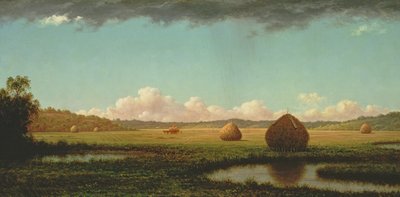 Sommerschauer, ca. 1862-63 von Martin Johnson Heade